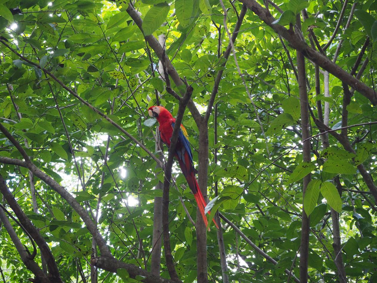 A bird sitting on a tree branch

AI-generated content may be incorrect.