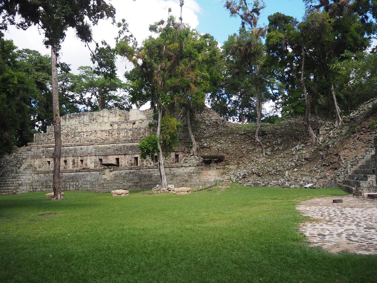 A grass field with trees in the background

AI-generated content may be incorrect.