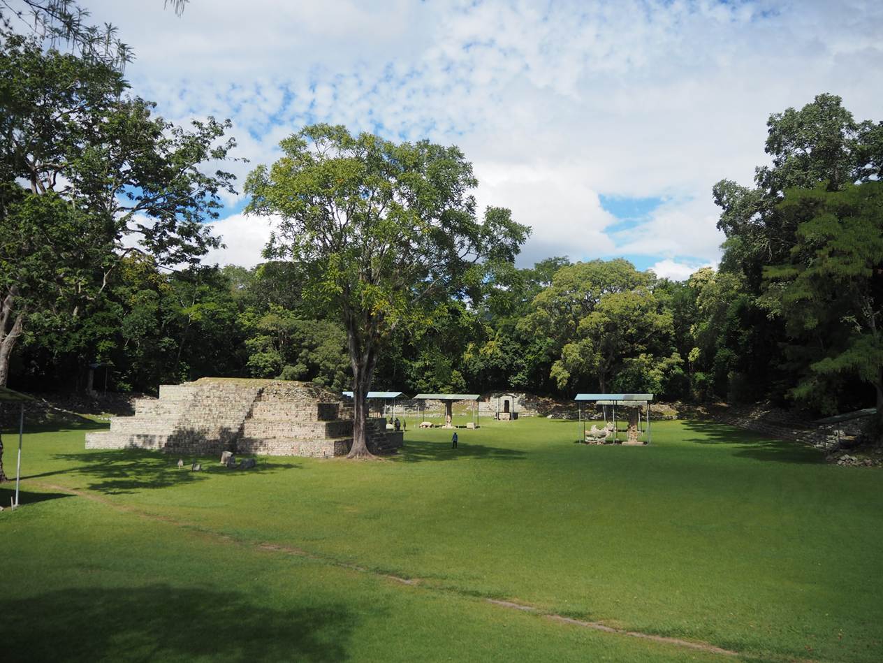 A green field with trees and a stone structure

AI-generated content may be incorrect.