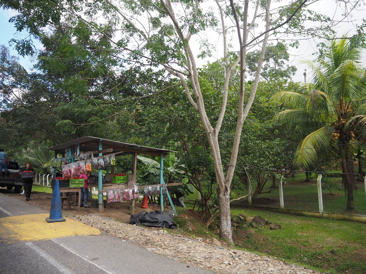 A small wooden structure with a sign on the side of the road

AI-generated content may be incorrect.