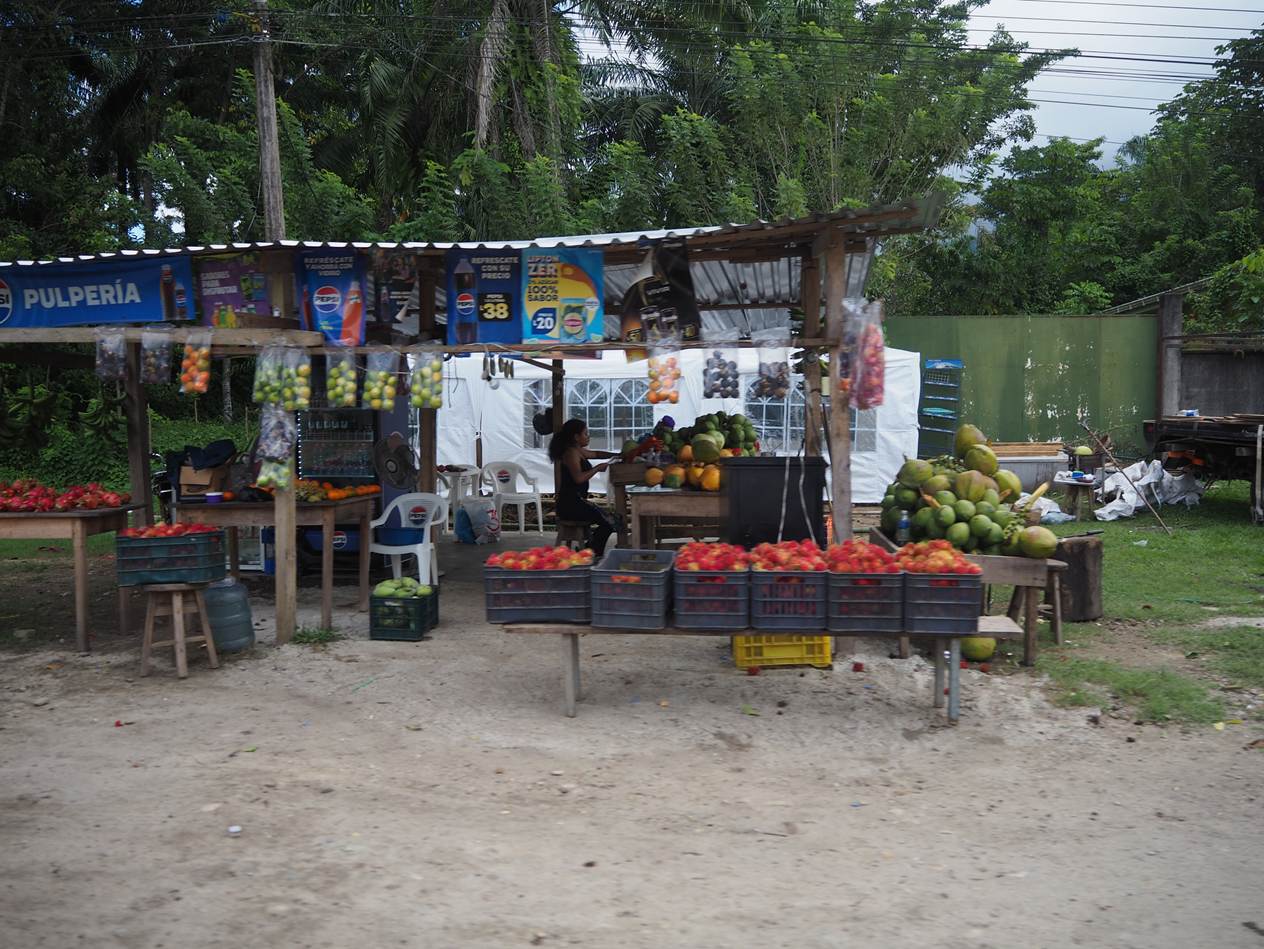 A fruit stand with a person standing in front of it

AI-generated content may be incorrect.