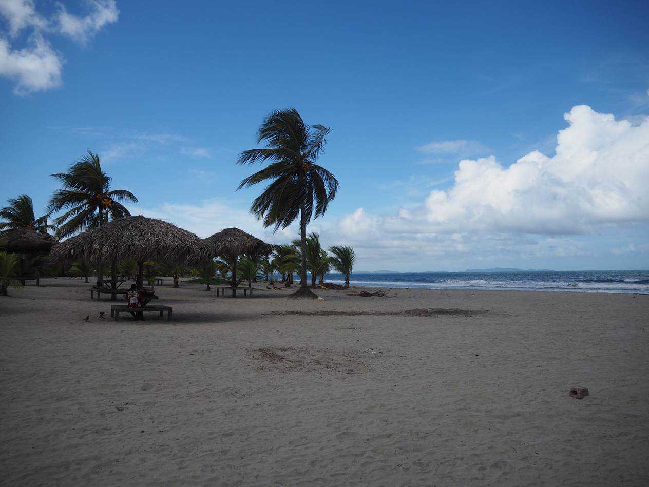 A beach with umbrellas and palm trees

AI-generated content may be incorrect.