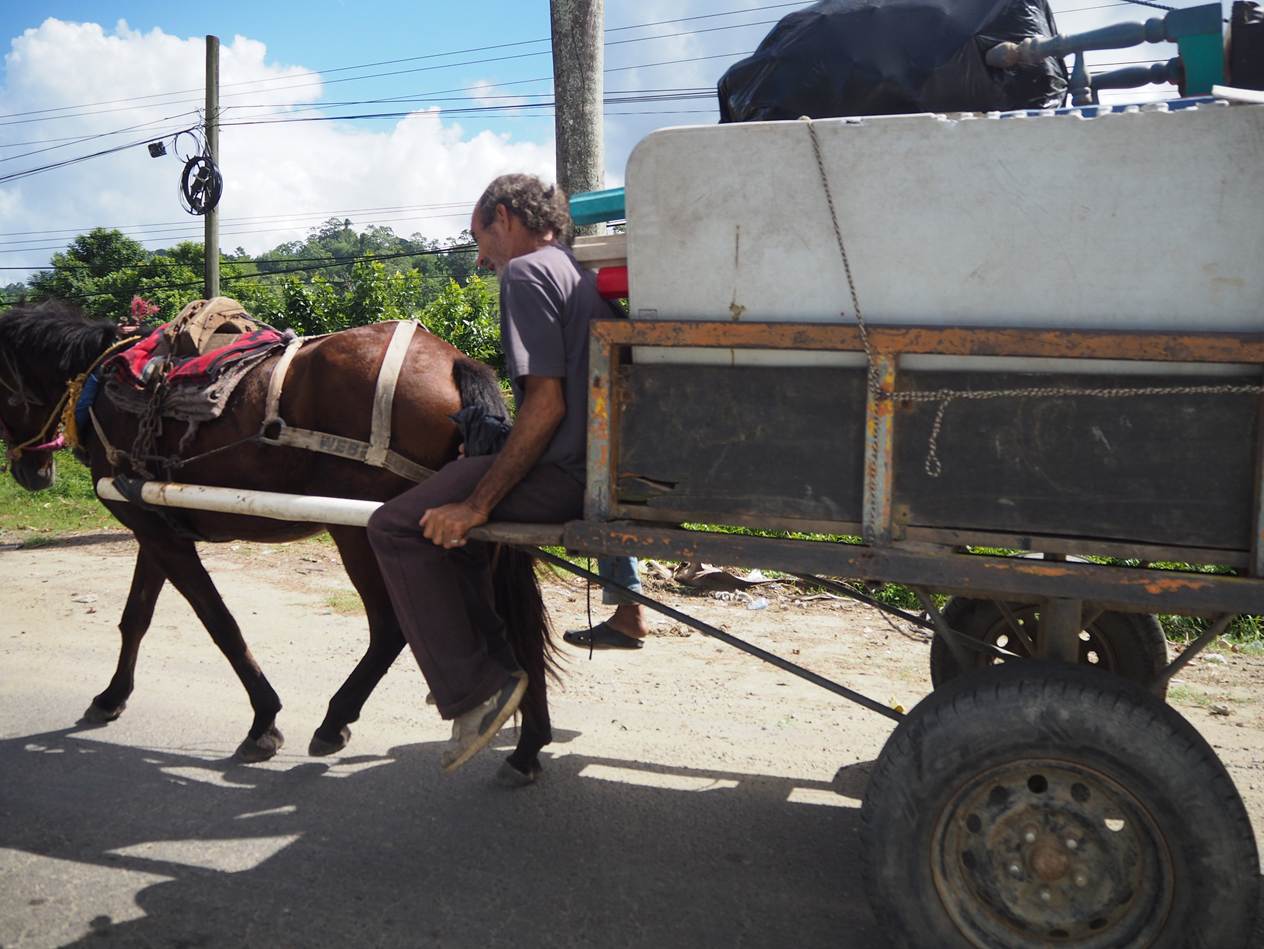 A person riding a horse pulling a cart

AI-generated content may be incorrect.