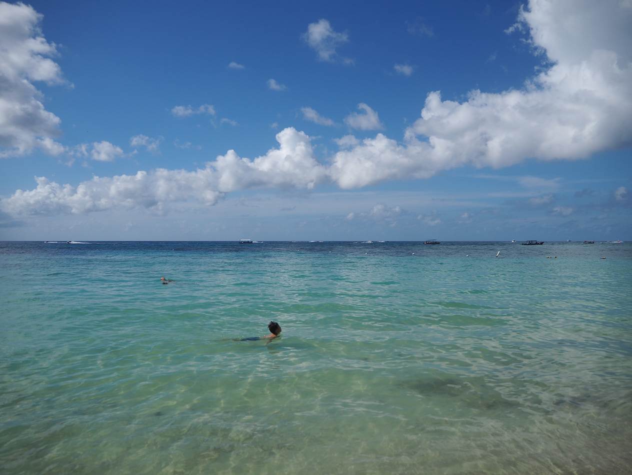 A person swimming in the water

AI-generated content may be incorrect.