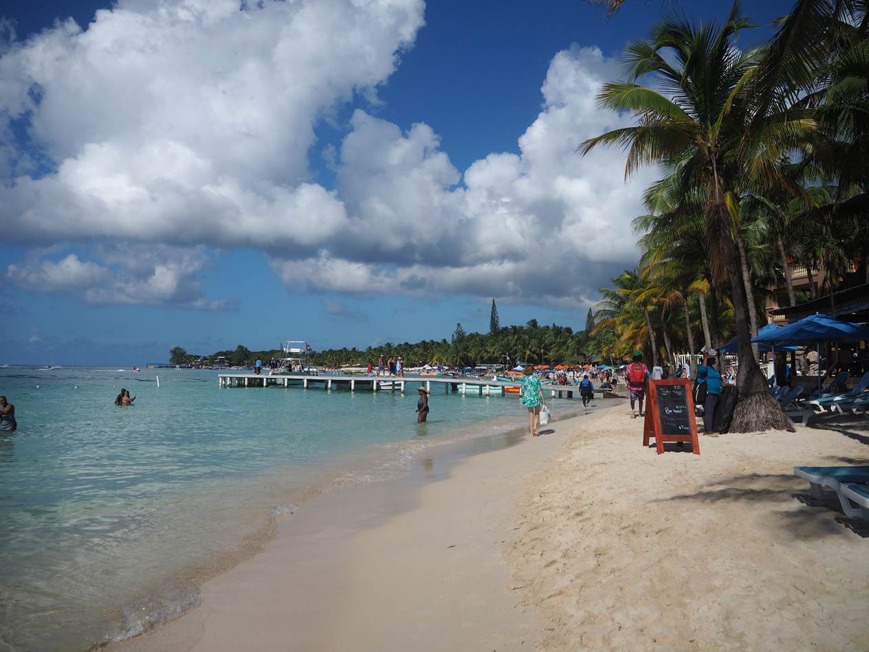 A beach with palm trees and a pier

AI-generated content may be incorrect.