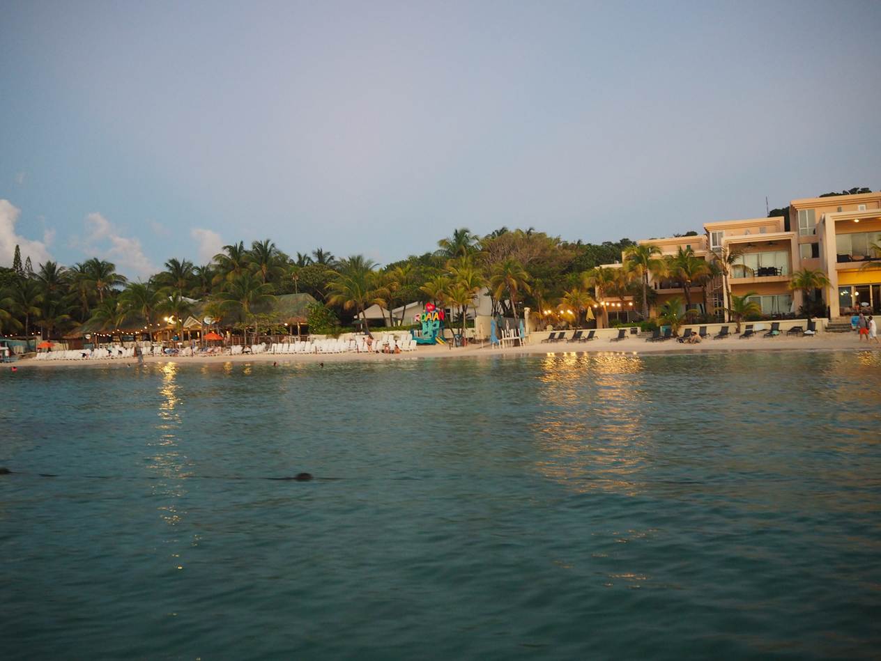 A body of water with buildings and trees

AI-generated content may be incorrect.