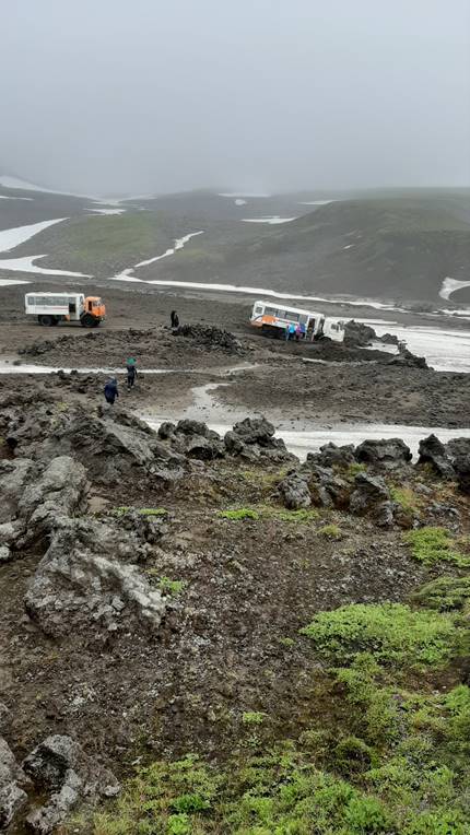 A close up of a tree

Description automatically generated