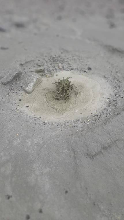 A picture containing hydrant, dirty, sitting, snow

Description automatically generated