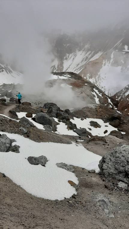 A picture containing dog, brown, standing, snow

Description automatically generated