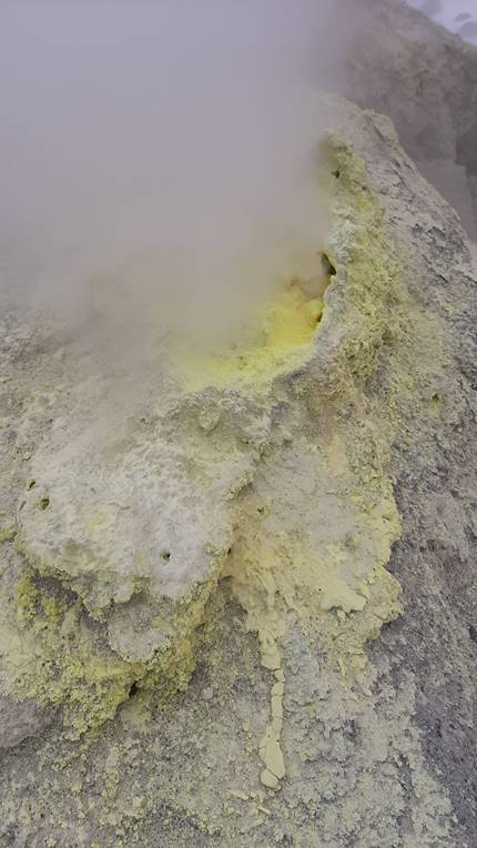 A picture containing riding, food, water, person

Description automatically generated